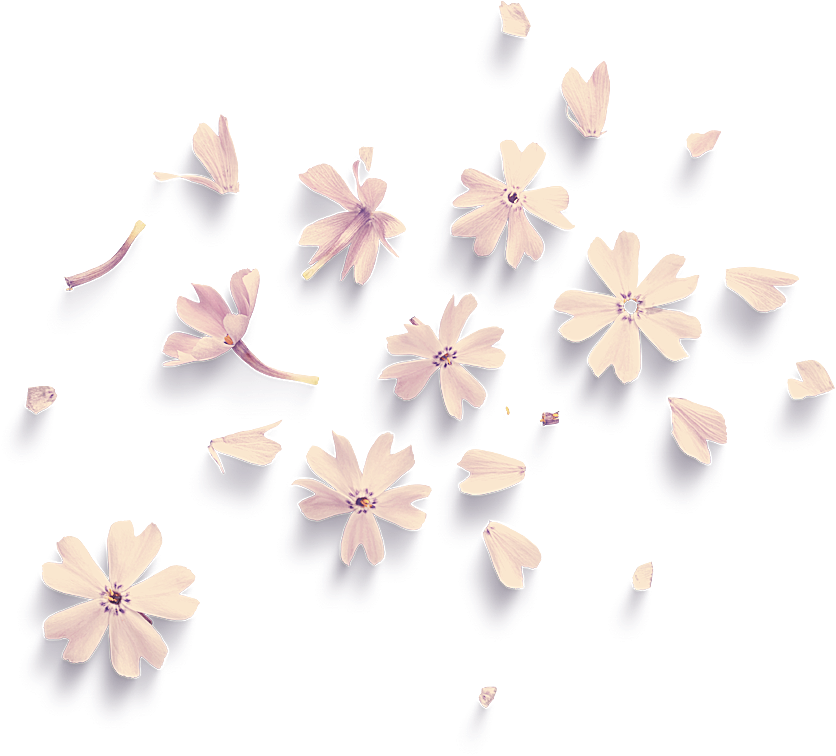 Purple flowers